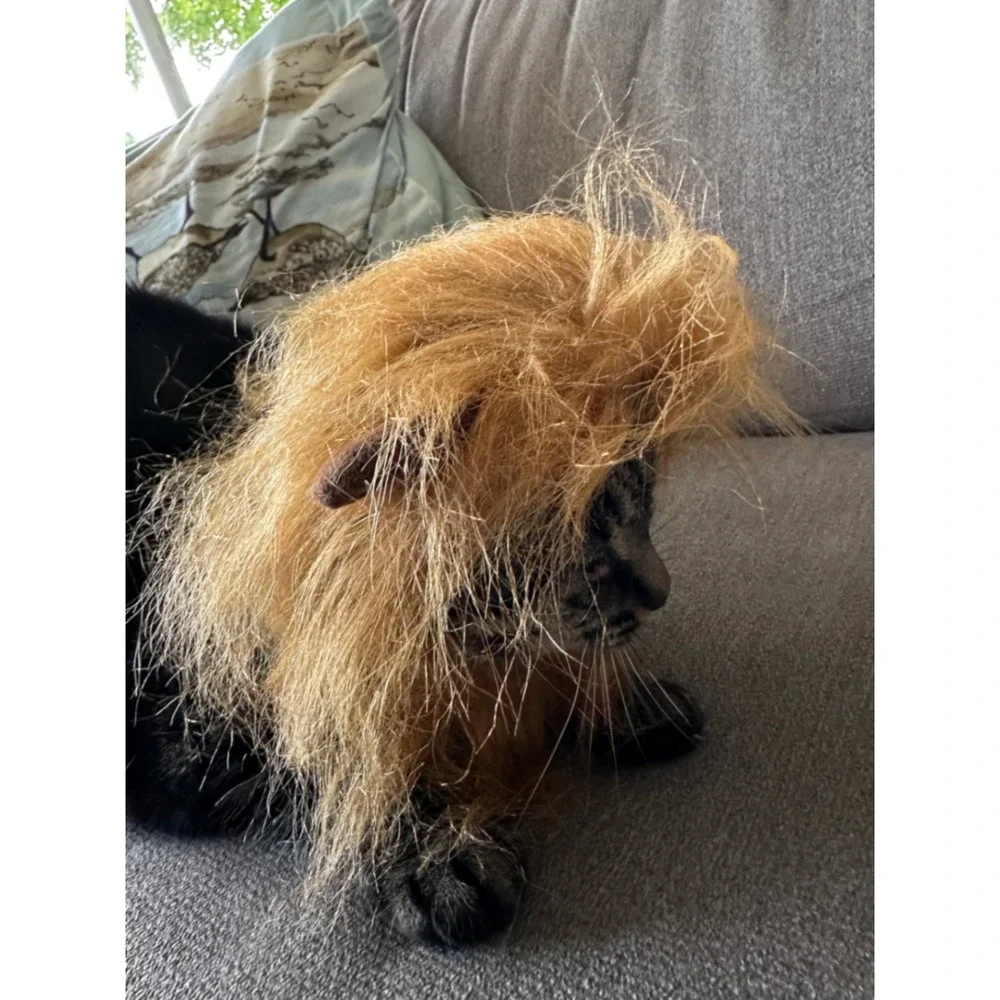 Pet Lion Mane Costume for Cats and Small Dogs Brown Faux Fur Wig with Ears